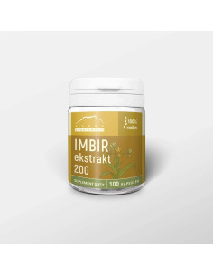 NANGA Imbir ekstrakt 200 mg...
