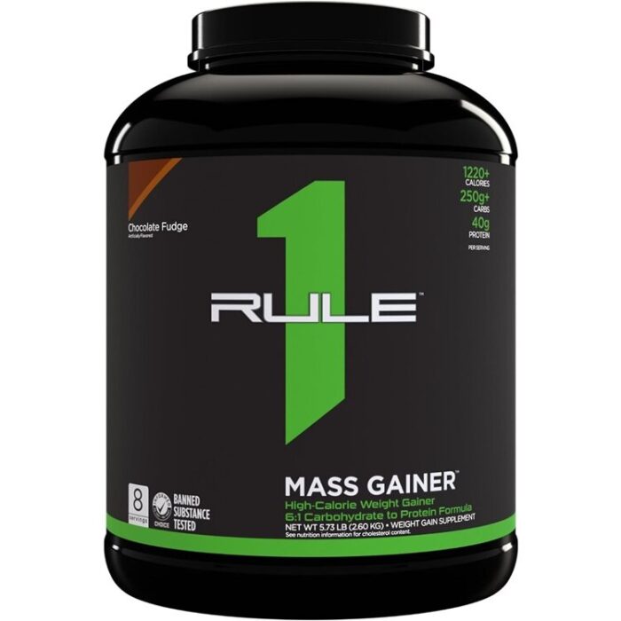 Mass Gainer, Chocolate Fudge - 2600 grams - obrazek 1