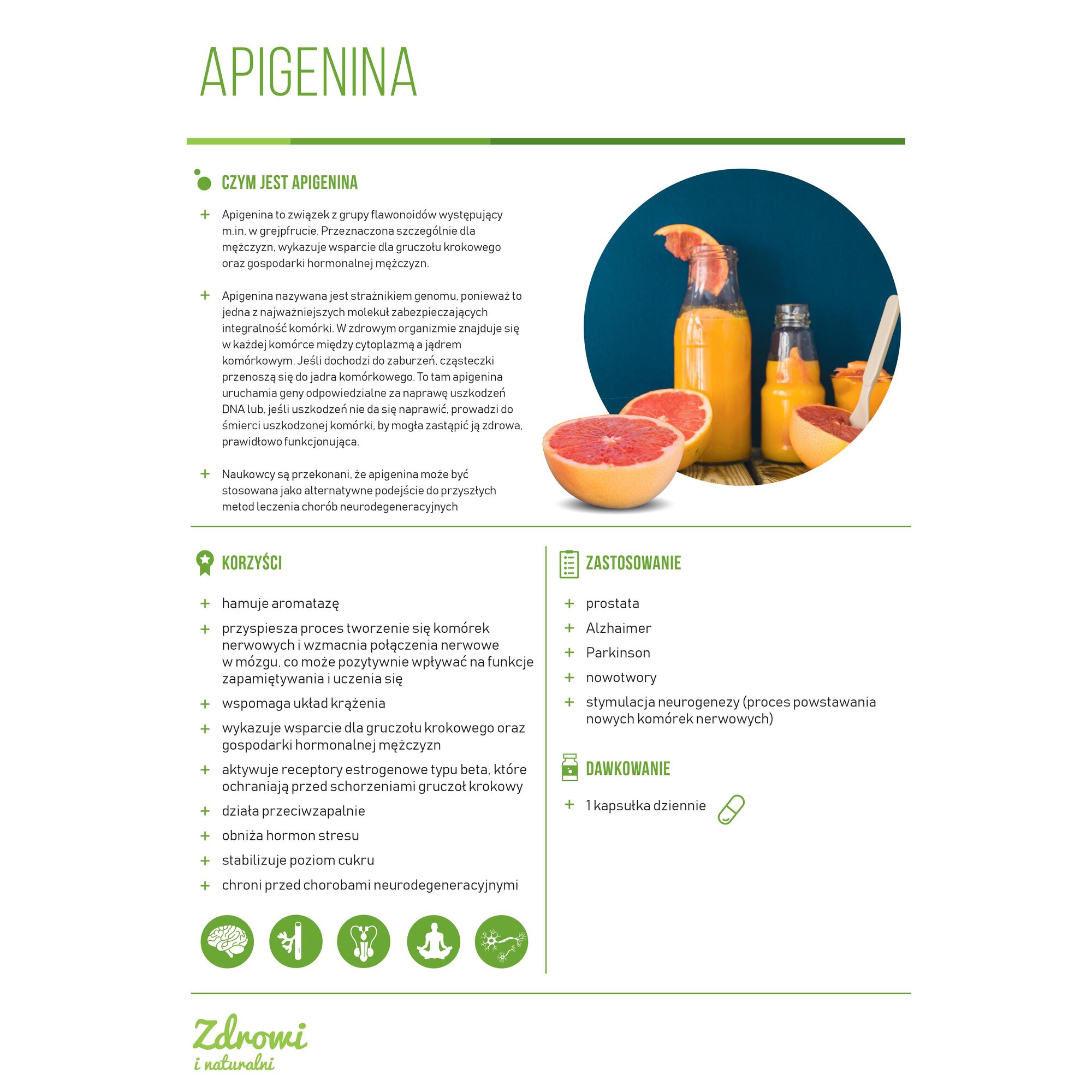 Apigenina-1.jpg APIGENINA 60 kaps. - obrazek 2