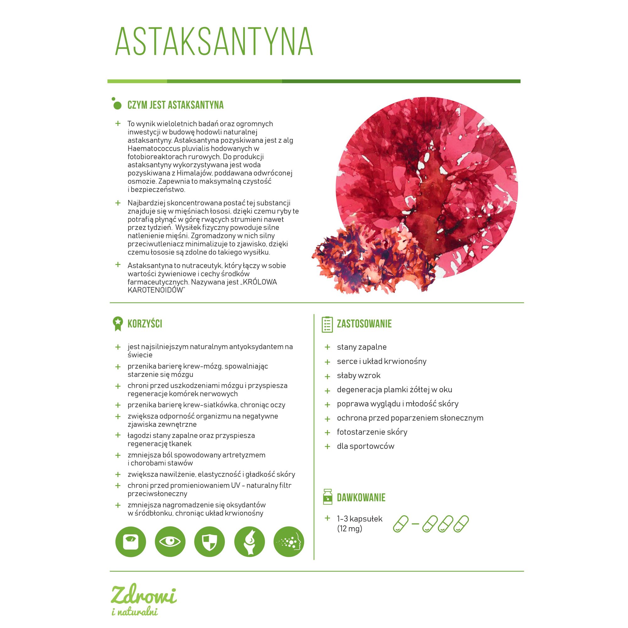 Astaksantyna_-4-1.jpg BIOASTIN 25 kaps.12 mg - obrazek 3
