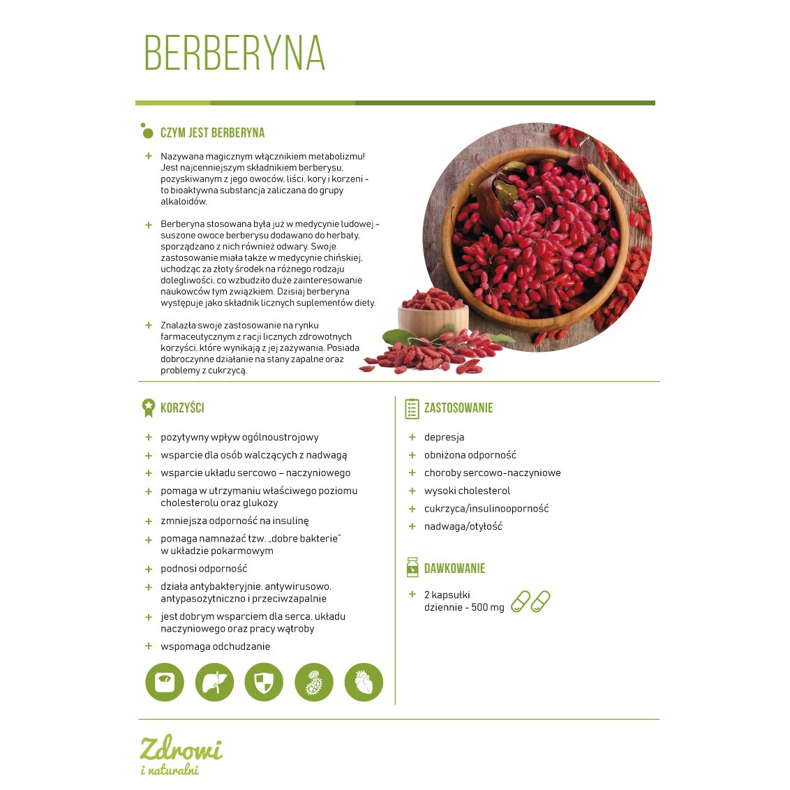 Berberyna-karta-produktu-Kenay-2019-1.jpg BERBERYNA Z MIKRO PQQ 500 mg 30 kaps. Dr Mercola - obrazek 1