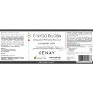 Ginkgo Biloba z Ginkgoselect® PLUS Phytosome 60 kaps. - obrazek 2