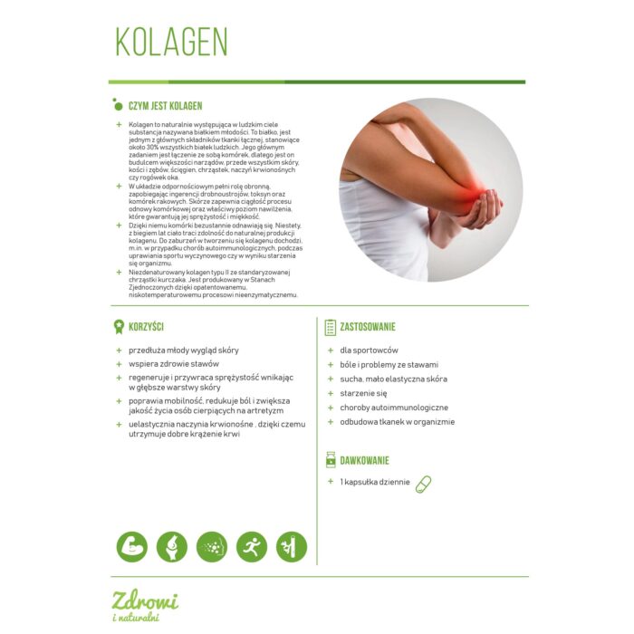 KOLAGEN UC-II 30 kaps. - obrazek 3