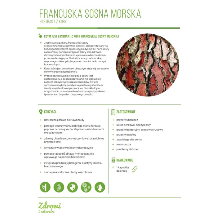 Pycnogenol® Ekstrakt z kory francuskiej sosny morskiej (30 kapsułek) - obrazek 3