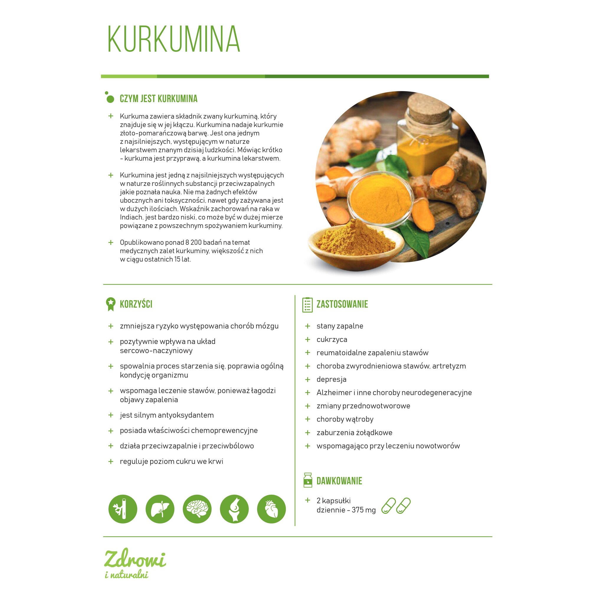 Kurkumina-4-1.jpg BCM- 95 (BIOCURCUMIN ) - rozpuszczalny ekstrakt z kurkumy 60 g - obrazek 2