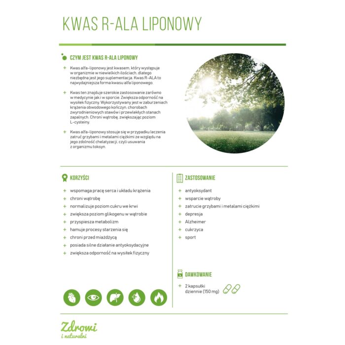 KWAS R-ALA-Bio-Enhanced, aktywna forma kwasu liponowego 60 kaps. - obrazek 3