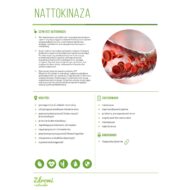 NATTOKINAZA NSK-SD 100mg 60 kaps. - obrazek 3