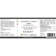 Ostropest plamisty Siliphos® - 60 kapsułek - obrazek 2