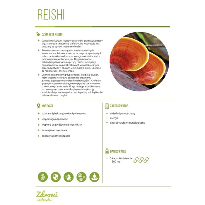 REISHI BIO 90 kaps. PL-EKO-06 - obrazek 3