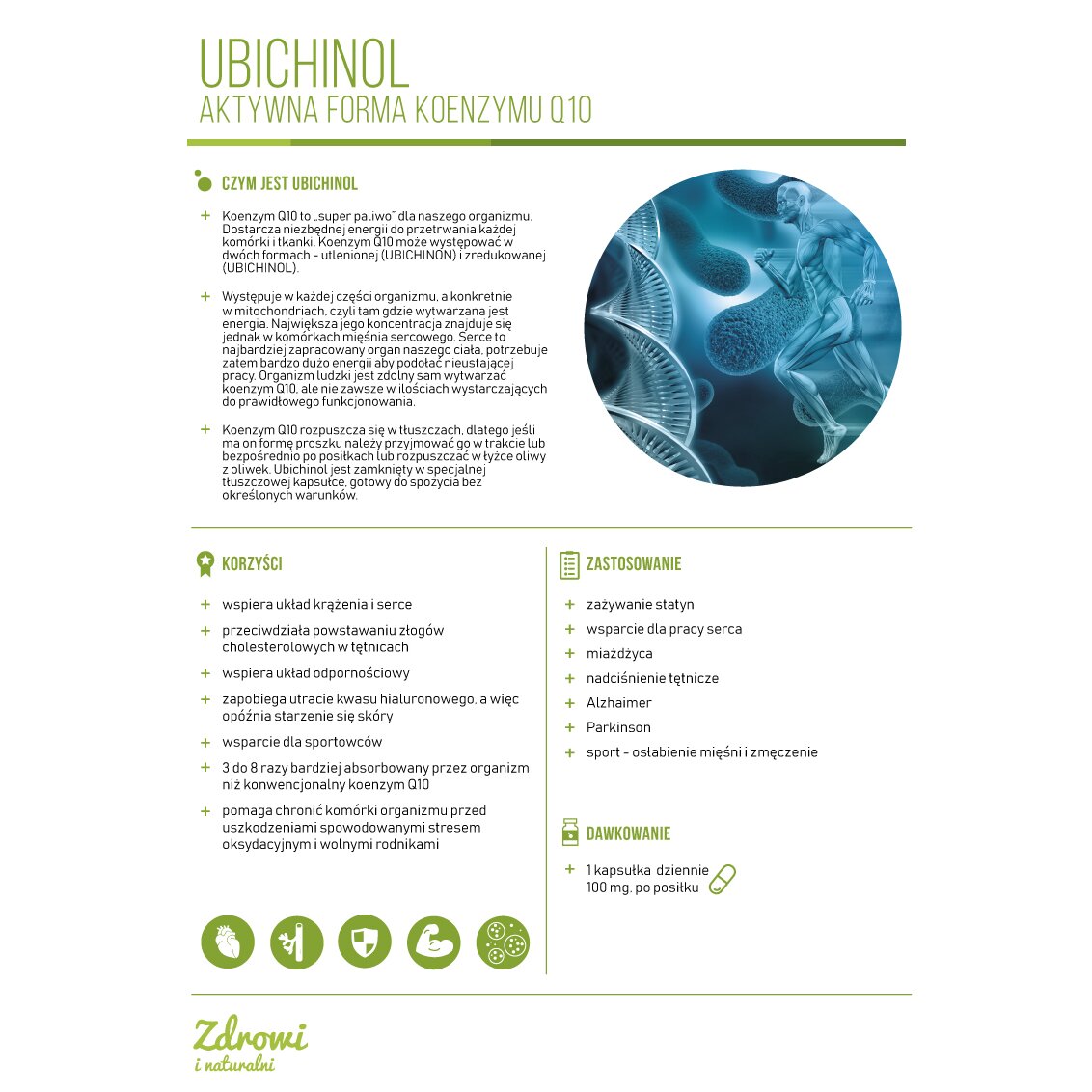 Ubichinol-aktywna-forma-KoenzymuQ10karta-produktu-Kenay-2019-1.jpg UBICHINOL-KOENZYM Q10 V100 - 300 kapsułek - obrazek 3