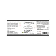 BERBERYNA FOSFOLIPIDOWA - FITOSOMOWA BERBEVIS® 60 kaps. - obrazek 2