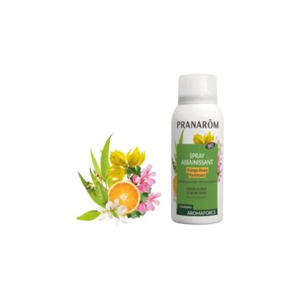 Product 17328477051