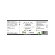CHAGA BIO Inonotus obliquus (60 kapsułek) - obrazek 2