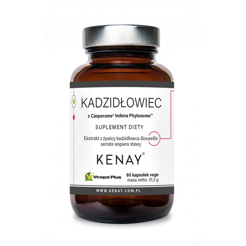 kadzidlowiec-formula-casperome-indena-phytosome-60-kapsulek-1.jpg Kadzidłowiec Casperome® 60 kaps. - obrazek 1