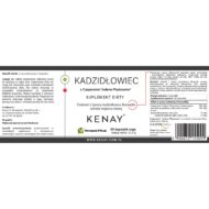 Kadzidłowiec Casperome® 60 kaps. - obrazek 2