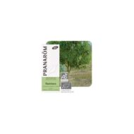 Olejek eteryczny Cynamonowiec kamforowy Ravintsara Cinnamomum camphora ct cineole 10ml PRANARÔM BIO - obrazek 2