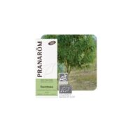 Olejek eteryczny Cynamonowiec kamforowy Ravintsara Cinnamomum camphora ct cineole 10ml PRANARÔM BIO