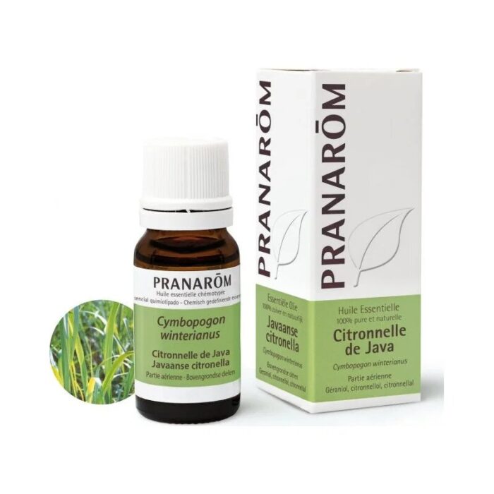 Olejek eteryczny cytronelowy Citronella Java Palczatka Cymbopogon winterianus 10ml PRANARÔM - obrazek 1