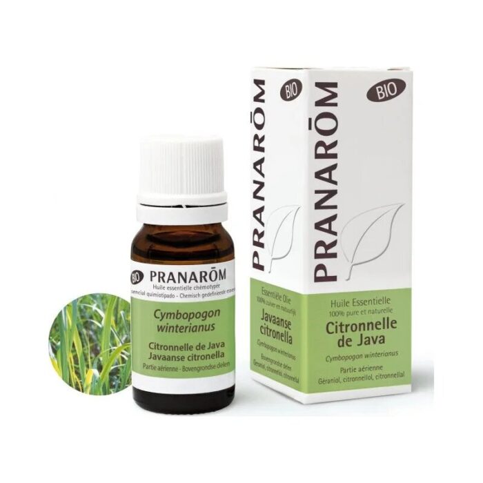 Olejek eteryczny cytronelowy Citronella Java Palczatka Cymbopogon winterianus 10ml PRANARÔM BIO - obrazek 1