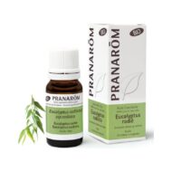 Olejek eteryczny eukaliptusowy Eukaliptus australijski Eucalyptus radiata ssp radiata 10ml PRANARÔM BIO
