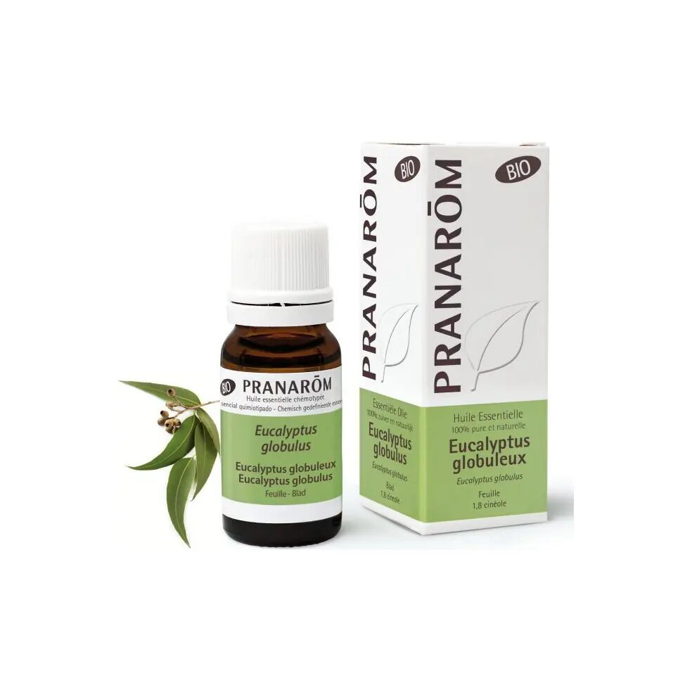 olejek-eteryczny-eukaliptusowy-eukaliptus-galkowy-eucalyptus-globulus-10mlpranarombio-1-1.jpg Olejek eteryczny eukaliptusowy Eukaliptus gałkowy Eucalyptus globulus 10ml PRANARÔM BIO - obrazek 2