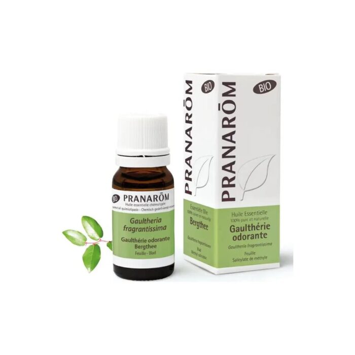 Olejek eteryczny golteriowy Wintergreen Golteria rozesłana Gaultheria fragrantissima 10ml PRANARÔM EKO - obrazek 2