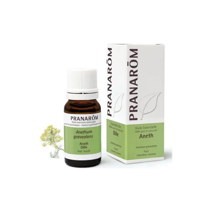 Olejek eteryczny koperkowy Koperek ogrodowy Anethum graveolens 10ml PRANARÔM - obrazek 2