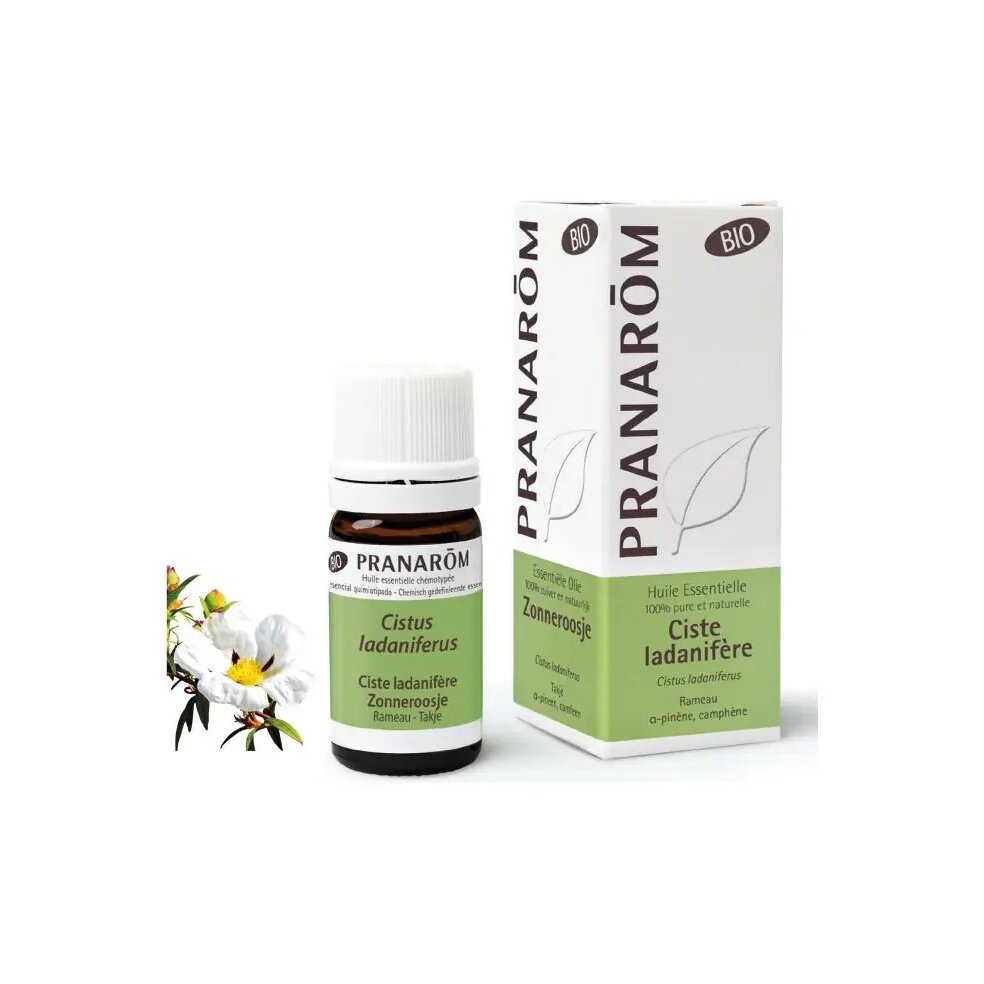 olejek-eteryczny-labdanum-czystek-labdanowy-cistus-ladaniferus-5mlpranarombio-1-1.jpg Olejek eteryczny labdanum Czystek labdanowy Cistus ladaniferus 5ml PRANARÔM EKO - obrazek 2