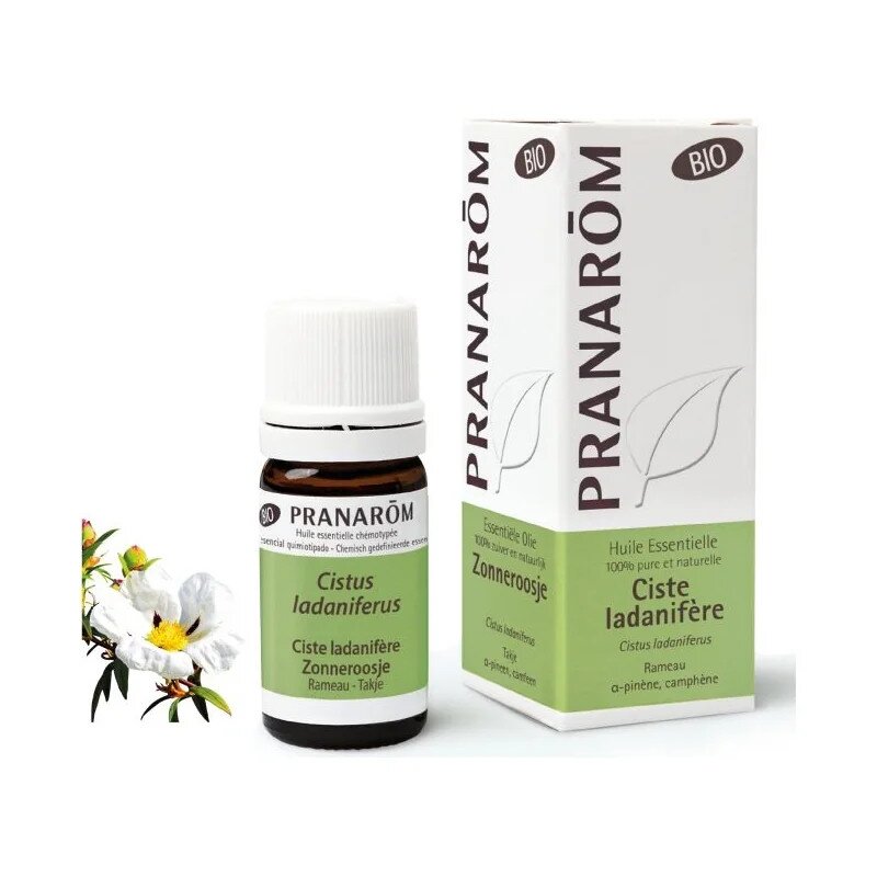 olejek-eteryczny-labdanum-czystek-labdanowy-cistus-ladaniferus-5mlpranarombio-2.jpg Olejek eteryczny labdanum Czystek labdanowy Cistus ladaniferus 5ml PRANARÔM EKO - obrazek 1