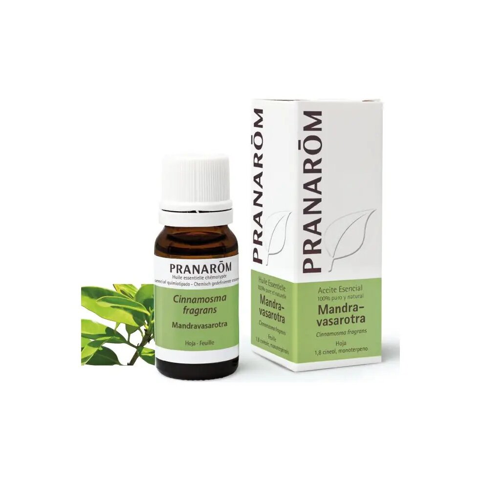 olejek-eteryczny-mandravasarotra-saro-cinnamosma-fragrans-10mlpranarombio-1-1.jpg Olejek eteryczny mandravasarotra saro Cinnamosma fragrans 10ml PRANARÔM EKO - obrazek 2
