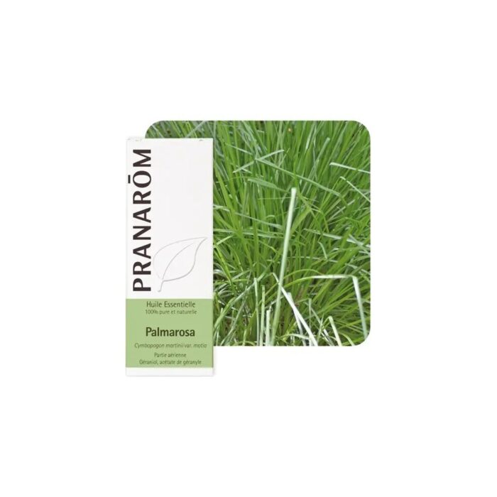 Olejek eteryczny Palmaroza Palmarosa Palczatka imbirowa Cymbopogon martini var. motial 10ml PRANARÔM BIO - obrazek 2