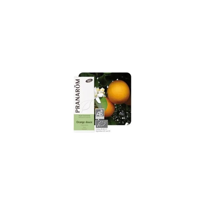 Olejek eteryczny pomarańczowy Skórka pomarańczowa Pomarańcza słodka Citrus sinensis 10ml PRANARÔM BIO - obrazek 2