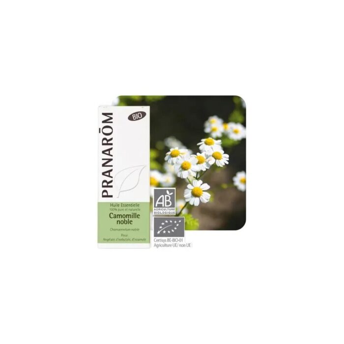 Olejek eteryczny rumiankowy Rumianek rzymski Chamaemelum noble 5ml PRANARÔM BIO - obrazek 2