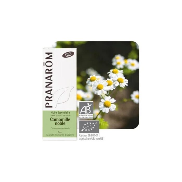 Olejek eteryczny rumiankowy Rumianek rzymski Chamaemelum noble 5ml PRANARÔM BIO - obrazek 1