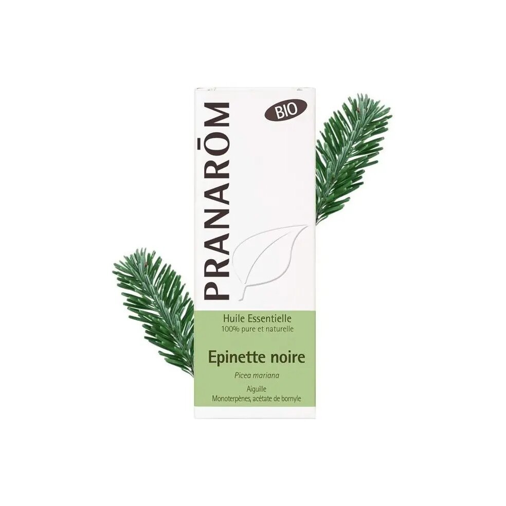 olejek-eteryczny-swierkowy-swierk-czarny-picea-mariana-10mlpranarombio-1-1.jpg Olejek eteryczny świerkowy Świerk czarny Picea mariana 10ml PRANARÔM EKO - obrazek 2