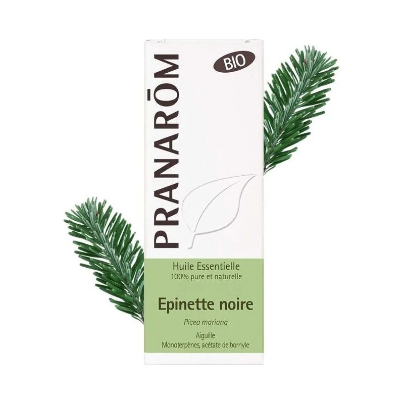 olejek-eteryczny-swierkowy-swierk-czarny-picea-mariana-10mlpranarombio-2.jpg Olejek eteryczny świerkowy Świerk czarny Picea mariana 10ml PRANARÔM EKO - obrazek 1