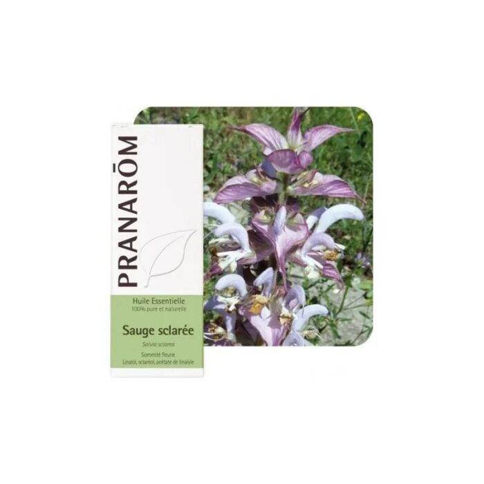 Olejek eteryczny szałwiowy Szałwia muszkatołowa Clary sage Salvia sclarea 5ml PRANARÔM BIO - obrazek 1