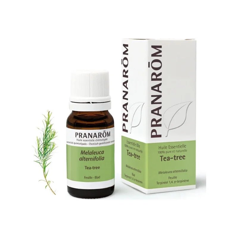 Product Image 17328477918 Product 17328477918