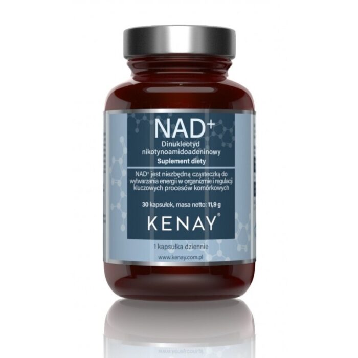 NAD Dinukleotyd nikotynoamidoadeninowy 30 kaps.vege - obrazek 1
