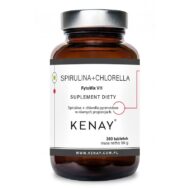 SPIRULINA CHLORELLA FYTOMIX V11 360tabl.