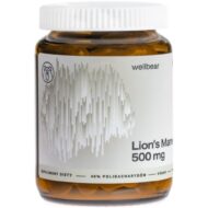 Wellbear Lion's Mane (Soplówka jeżowata) 500 mg - 60 kapsułek - obrazek 2