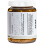 Wellbear Lion's Mane (Soplówka jeżowata) 500 mg - 60 kapsułek - obrazek 4