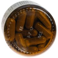 Wellbear Lion's Mane (Soplówka jeżowata) 500 mg - 60 kapsułek - obrazek 6