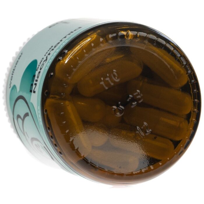 Wellbear Witamina B3 500 mg (Niacynamid) - 60 kapsułek - obrazek 6